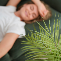 Everyday wellness routine